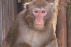 04